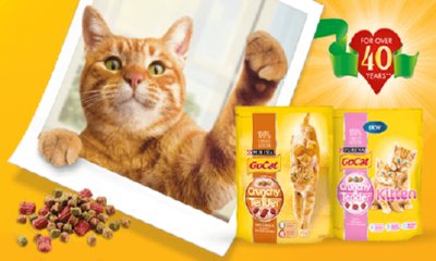 Free Go-Cat Cat Food